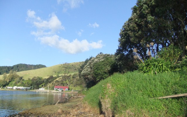 marmsky devotions pics November 2016 (4)