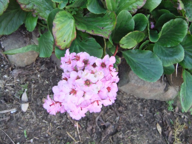 marmsky devotions pics November 2016 (5)