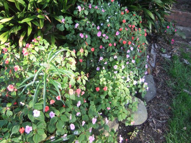 marmsky devotions pics November 2016 (6)