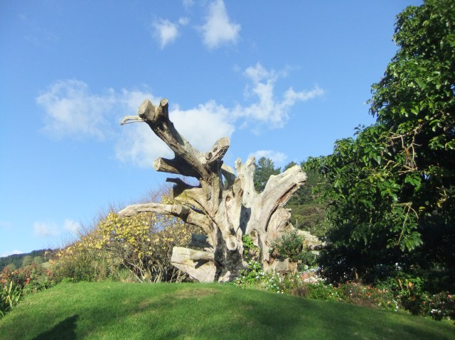 marmsky devotions pics November 2016 (8)