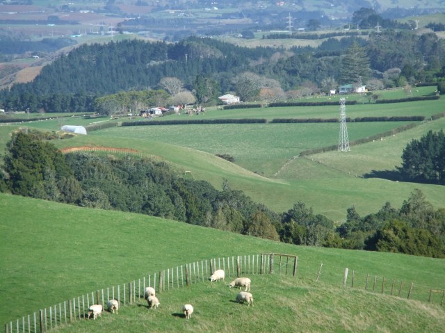 marmsky devotions pics October 2016 (31)