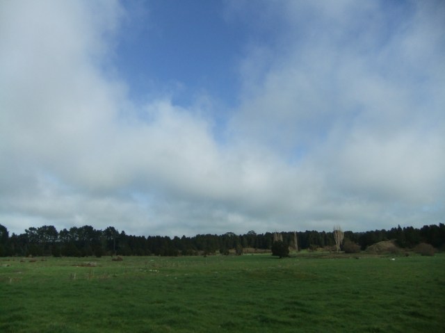 marmsky-devotions-pics-february-2017-13