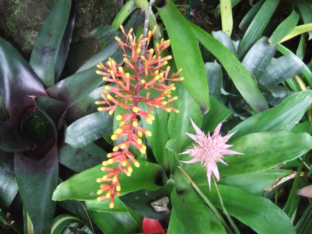 marmsky devotions pics February 2017 (5)