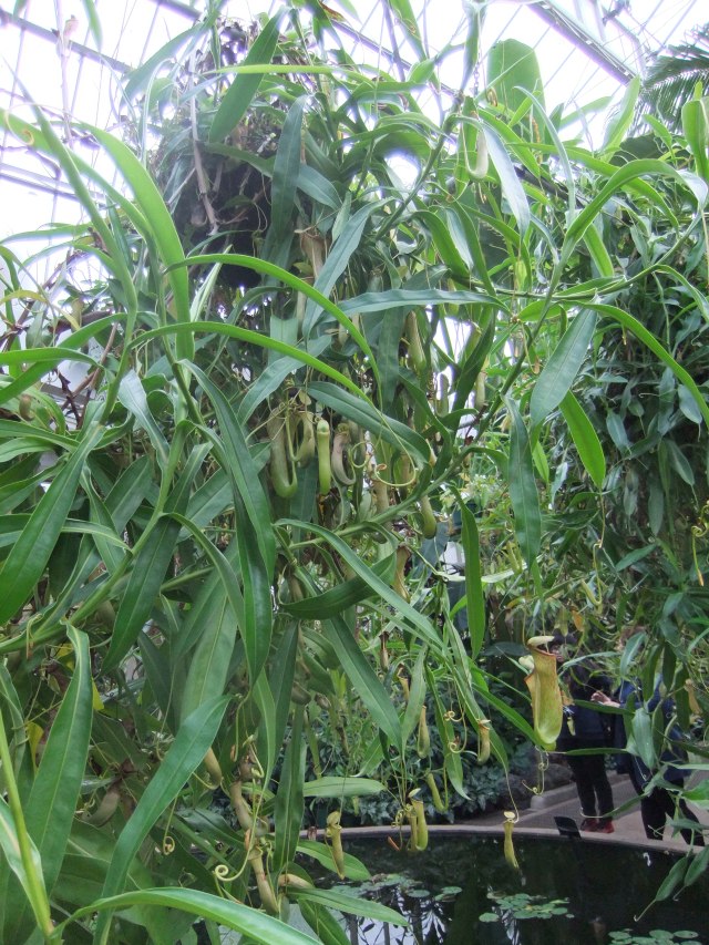 marmsky-devotions-pics-february-2017-7