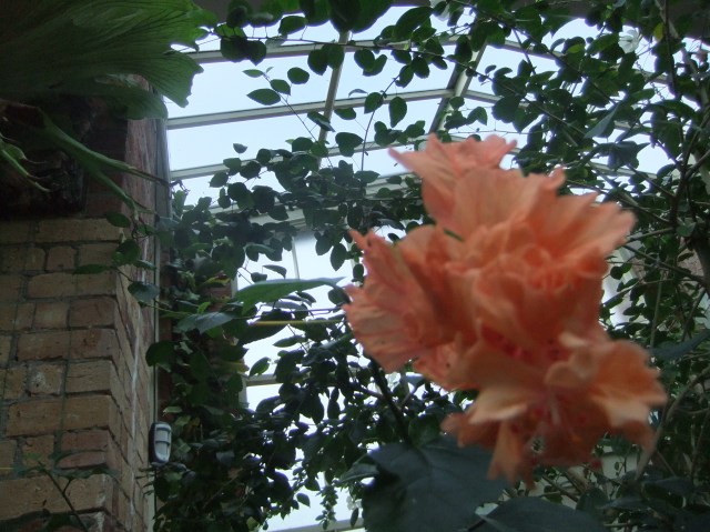 marmsky-devotions-pics-february-2017-8