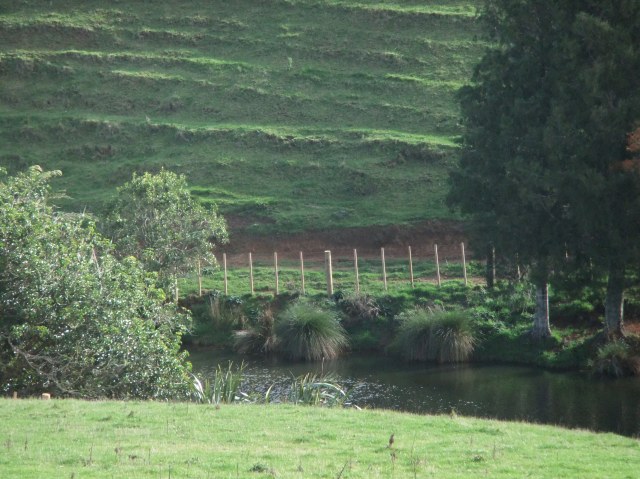 marmsky devotions pics October 2016 (8)