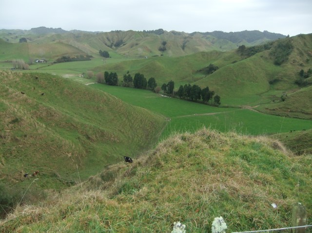 marmsky-devotions-pics-april-2017-11