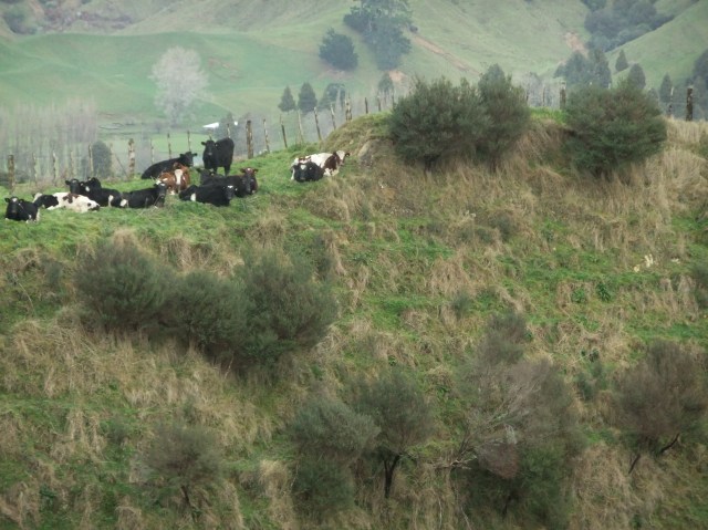 marmsky-devotions-pics-april-2017-12