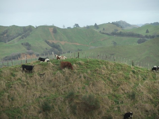 marmsky-devotions-pics-april-2017-13