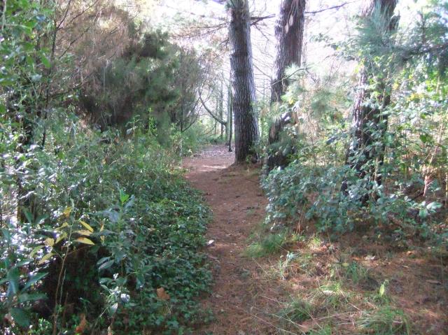 marmsky-devotions-pics-april-2017-25