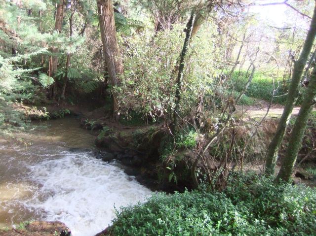 marmsky-devotions-pics-april-2017-26