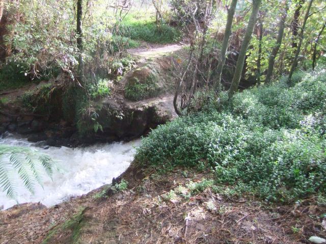 marmsky-devotions-pics-april-2017-27