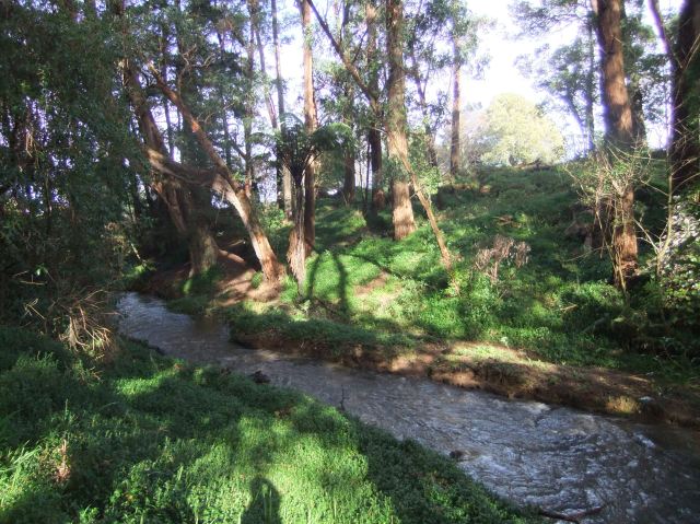 marmsky-devotions-pics-april-2017-28