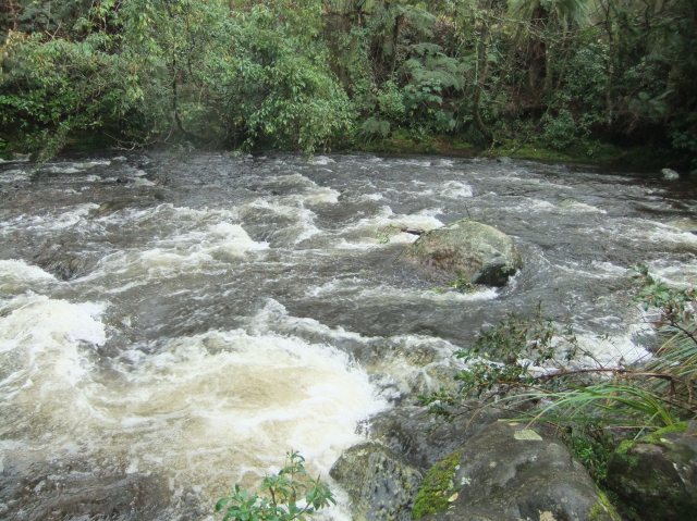 marmsky-devotions-pics-april-2017-6