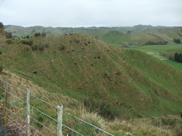 marmsky-devotions-pics-april-2017-8