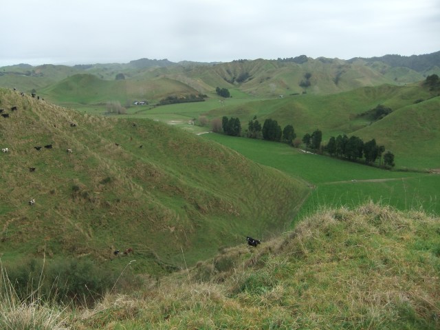 marmsky-devotions-pics-april-2017-9