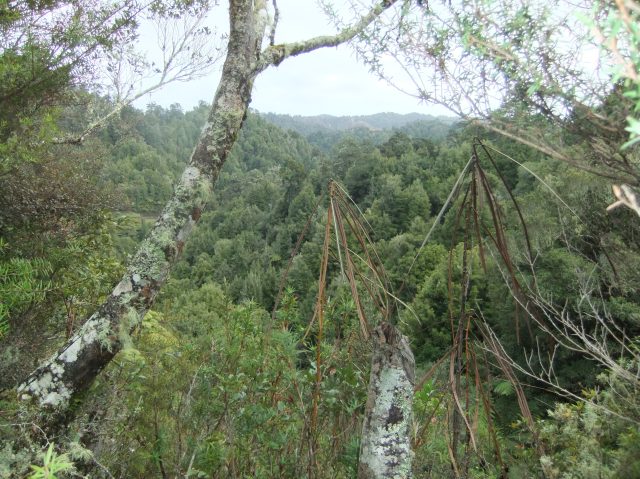 marmsky-devotions-pics-may-2017-10