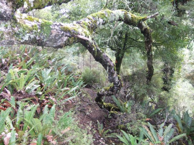 marmsky-devotions-pics-may-2017-11