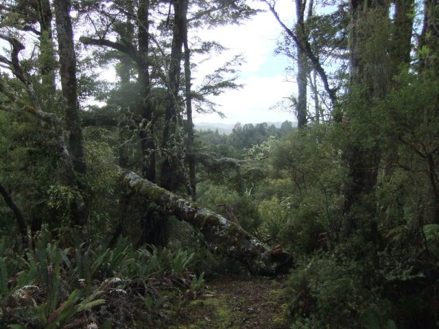 marmsky-devotions-pics-may-2017-13