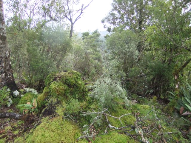 marmsky-devotions-pics-may-2017-14