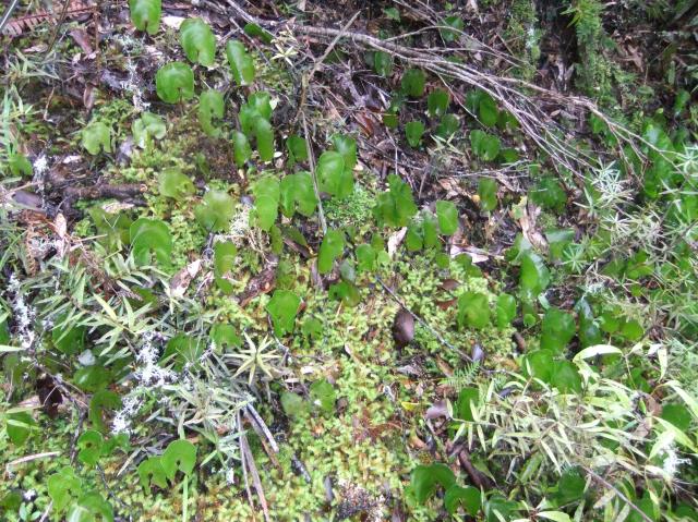 marmsky-devotions-pics-may-2017-15