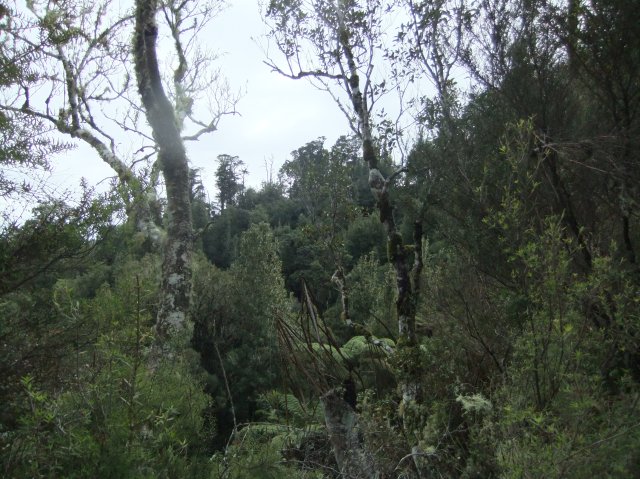 marmsky-devotions-pics-may-2017-16