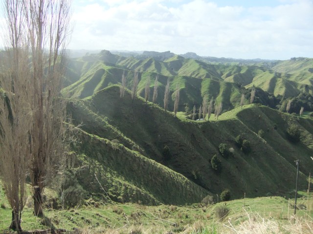 marmsky-devotions-pics-may-2017-20