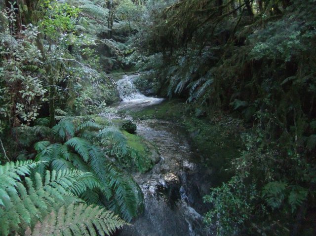 marmsky-devotions-pics-may-2017-25