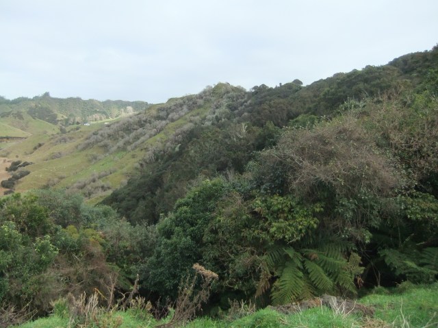 marmsky-devotions-pics-may-2017-4