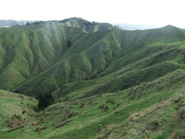 marmsky-devotions-pics-june-2017-2