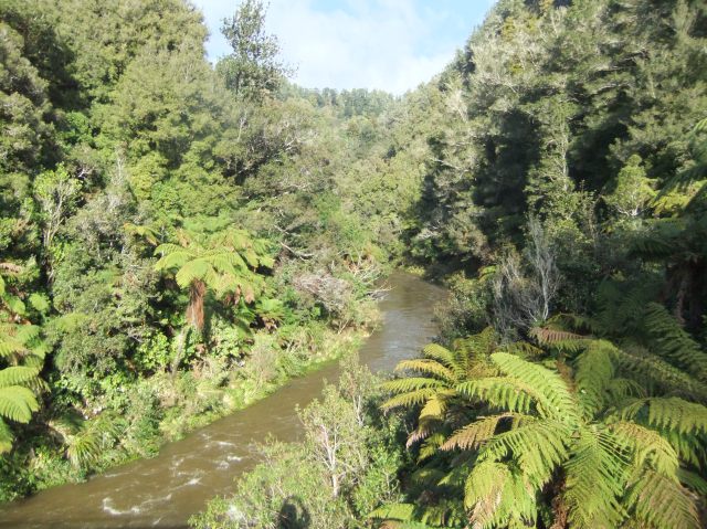 marmsky-devotions-pics-june-2017-25