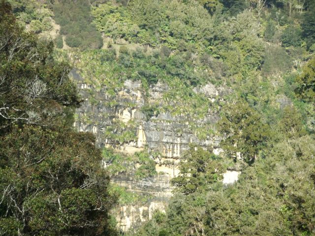 marmsky-devotions-pics-june-2017-26