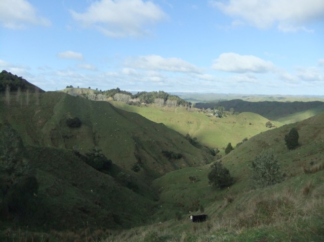 marmsky-devotions-pics-june-2017-27