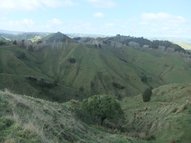 marmsky-devotions-pics-june-2017-30