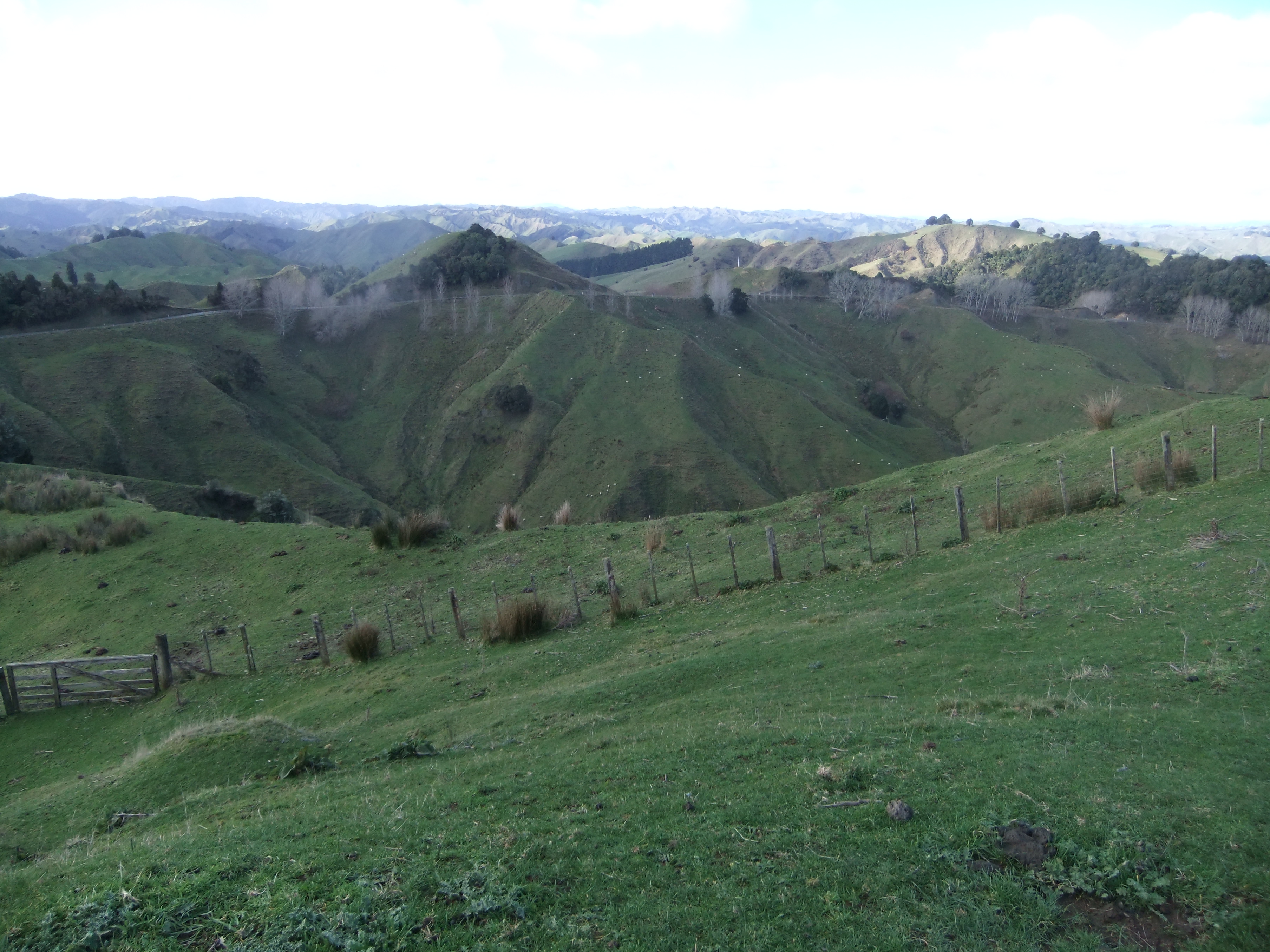 marmsky-devotions-pics-june-2017-6