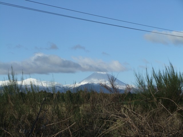 marmsky-devotions-pics-june-2017-7