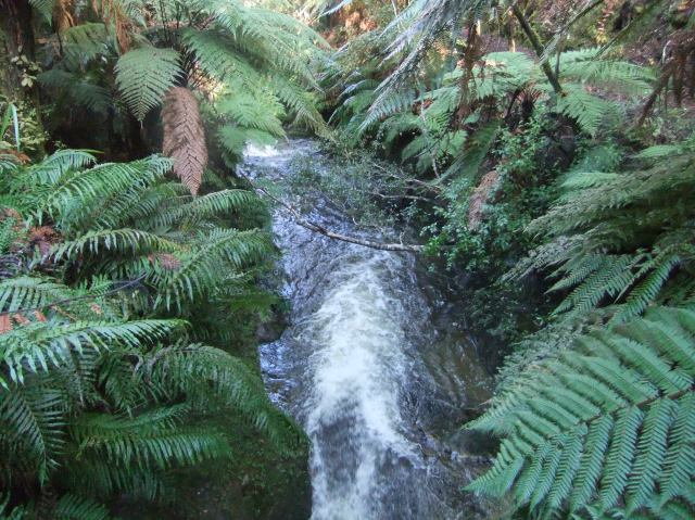 marmsky-devotions-pics-may-2017-26