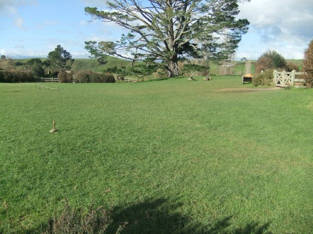 marmsky-devotions-pics-march-2017-16