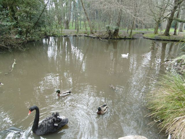 marmsky devotions pics (of Hamilton NZ) August 2017 (12)