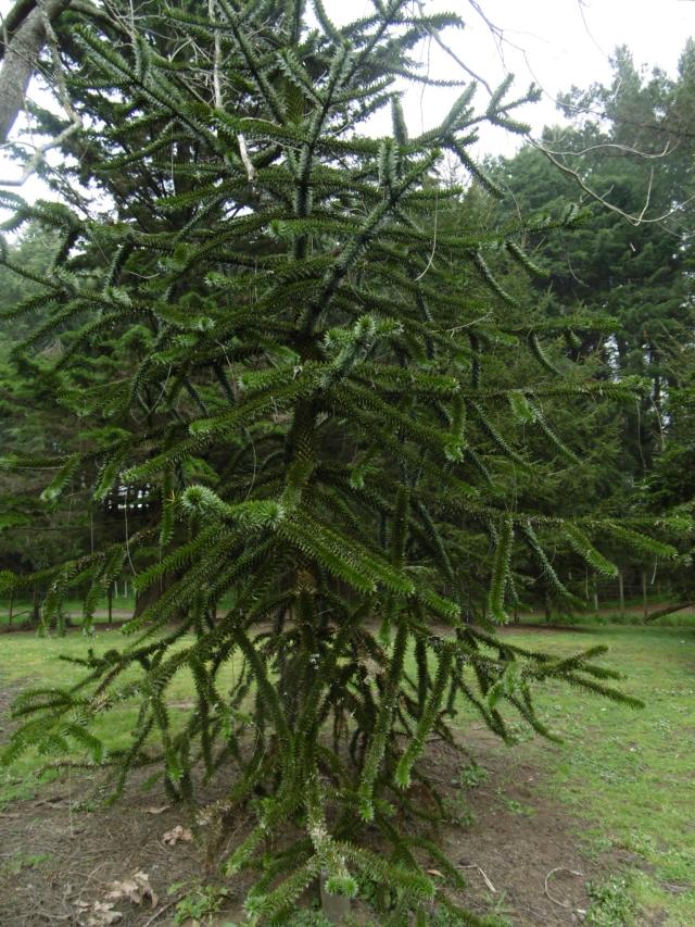 marmsky devotions pics (of Hamilton NZ) August 2017 (15)