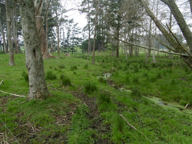 marmsky devotions pics (of Hamilton NZ) August 2017 (16)