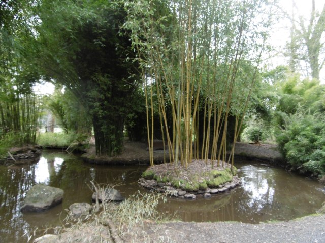 marmsky devotions pics (of Hamilton NZ) August 2017 (17)