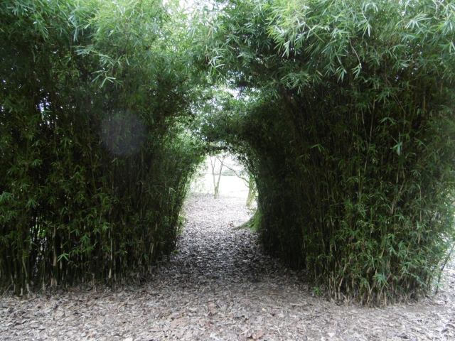 marmsky devotions pics (of Hamilton NZ) August 2017 (18)