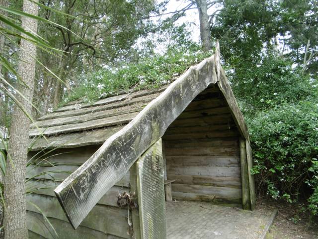 marmsky-devotions-pics-of-hamilton-nz-august-2017-2