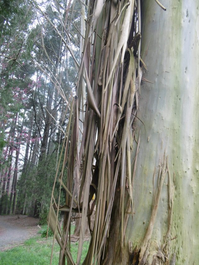 marmsky devotions pics (of Hamilton NZ) August 2017 (28)