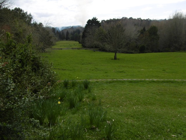 marmsky-devotions-pics-of-hamilton-nz-august-2017-4