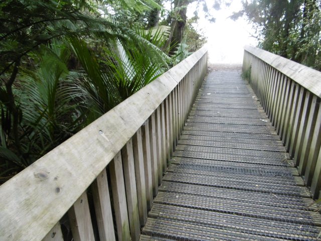 marmsky-devotions-pics-of-hamilton-nz-august-2017-6