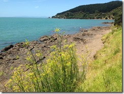 marmsky devotions pics November 2017 (14)