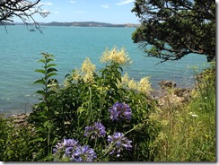 marmsky devotions pics November 2017 (18)