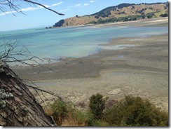 marmsky devotions pics November 2017 (5)